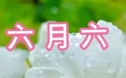 6月6是什么节日（六月六日是什么日子）