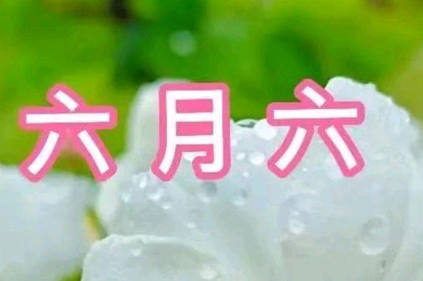 6月6是什么节日（六月六日是什么日子）