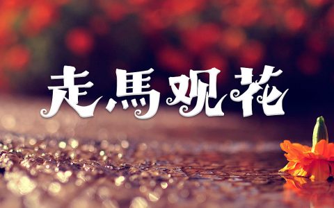 走马观花的意思是什么？走马观花的故事