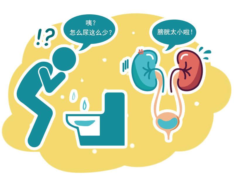 adh是什么意思（adh有什么用）