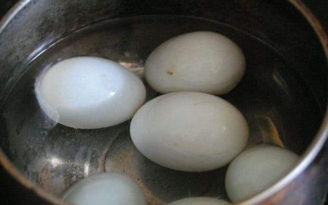鸭蛋煮多少分钟能熟（买回来的鸭蛋要煮多久）