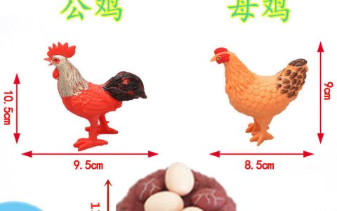 怎么区分公鸡母鸡(怎么分辨鸡的公母)