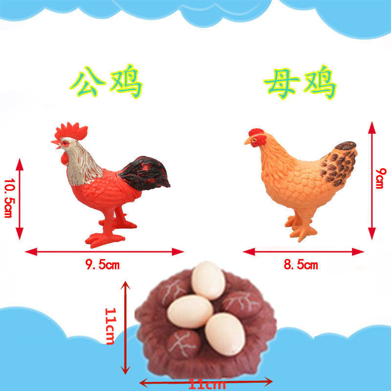 怎么区分公鸡母鸡（怎么分辨鸡的公母）