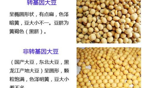 转基因好还是非转基因好（大豆油转基因好还是非转基因好）