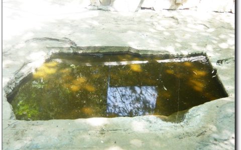 死水是什么意思(死水为什么叫死水)