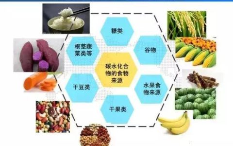 碳水是什么水（碳水是什么水果）