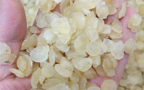 皂角米的食用方法（皂角米功效）
