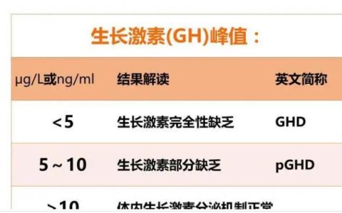 gh是什么意思?gh有什么作用