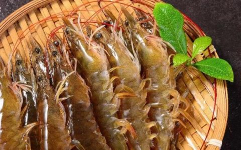 基围虾是海虾还是河虾？