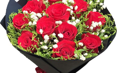 玫瑰花十一朵代表什么意思（十一只玫瑰花是什么意思）