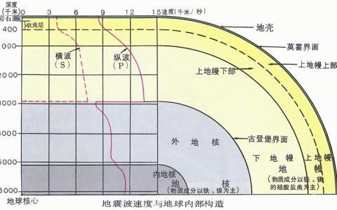 最先感受到的地震波叫什么波（地震时最先感受到的波是什么波）