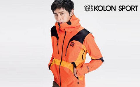 两棵松树是什么品牌(两棵树品牌中文叫什么)