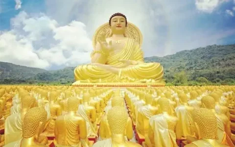 天竺国是现在的哪里？天竺是现在的哪个国家