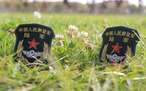 陆军防空兵是好兵种吗？ 陆军什么兵种最好