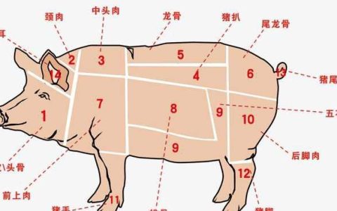 肉青是什么肉（肉青是哪部分猪肉）