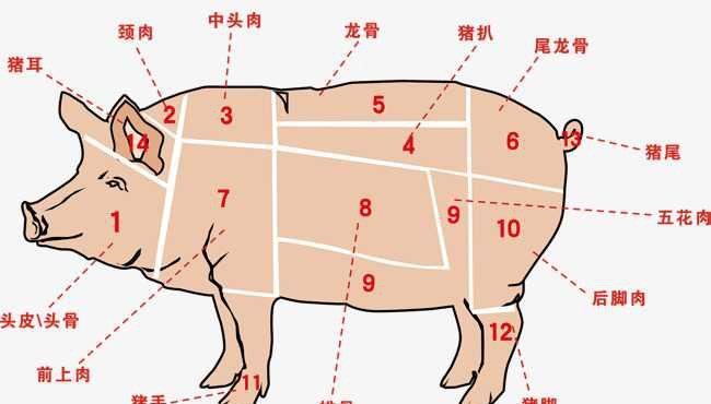 肉青是什么肉（肉青是哪部分猪肉）