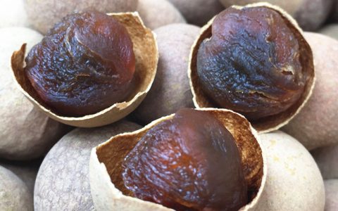 什么是发物（桂圆是发物吗）