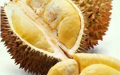 榴莲要不要放冰箱保存（榴莲怎么保存）