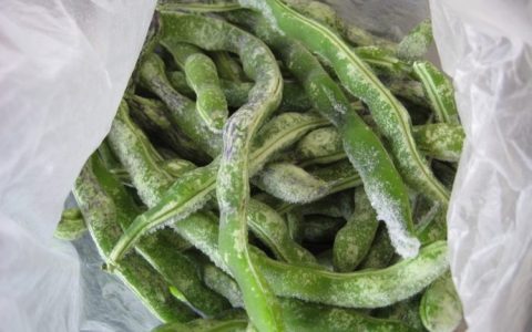 豆角煮熟了冷冻还是直接冷冻（正确的冷冻豆角的方法）