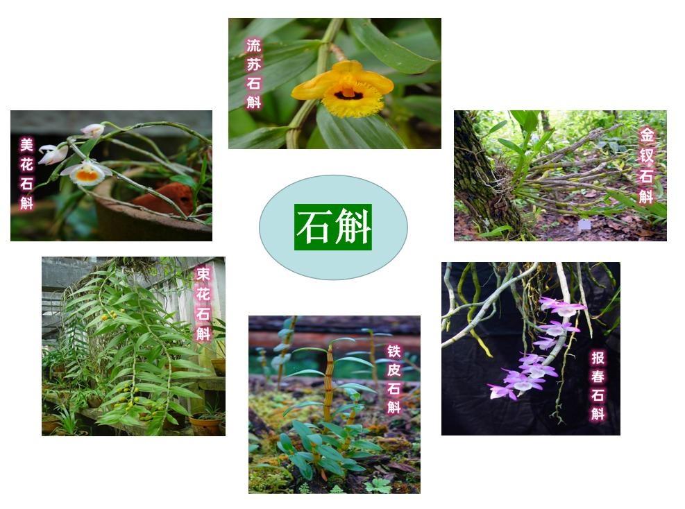石斛保质期限有几年？石斛保质期过了能吃吗