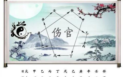 伤官是什么意思？