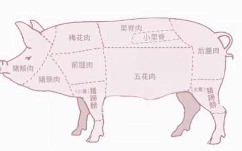 夹心肉和五花肉哪个好（夹心肉跟五花肉的区别）