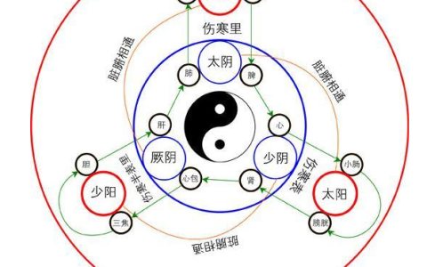 太阴少阴厥阴强弱顺序（三阴三阳的强弱顺序）