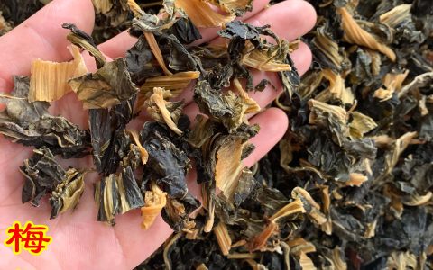 梅菜扣肉的梅菜是什么菜（梅菜扣肉用什么梅菜好）