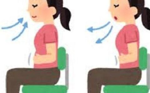 吸气时肚子是鼓起还是收缩（经常吸气收腹可以瘦肚子吗）