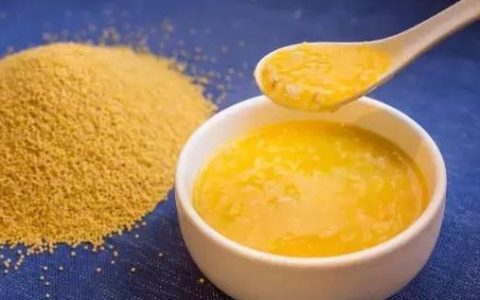 煮小米粥用小黄米还是大黄米（小米粥用什么小米最好）