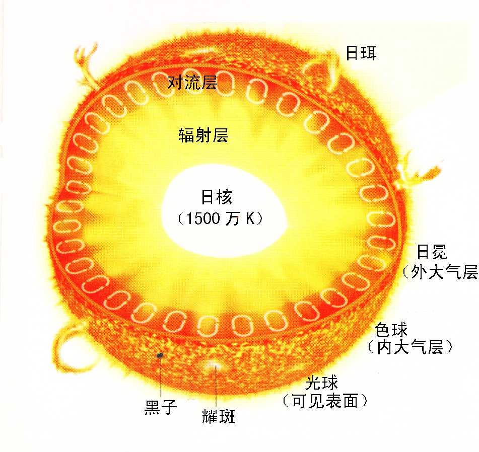 太阳的外部结构从内向外依次是什么？