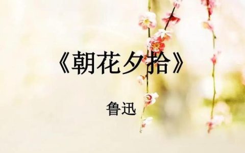 朝花夕拾的主要内容是什么？