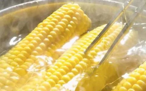 玉米煮放盐还是糖才甜（煮玉米放点盐会更甜吗）