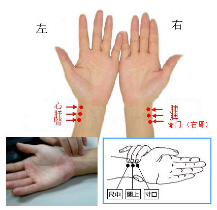 脉率正常值（正常心率范围）