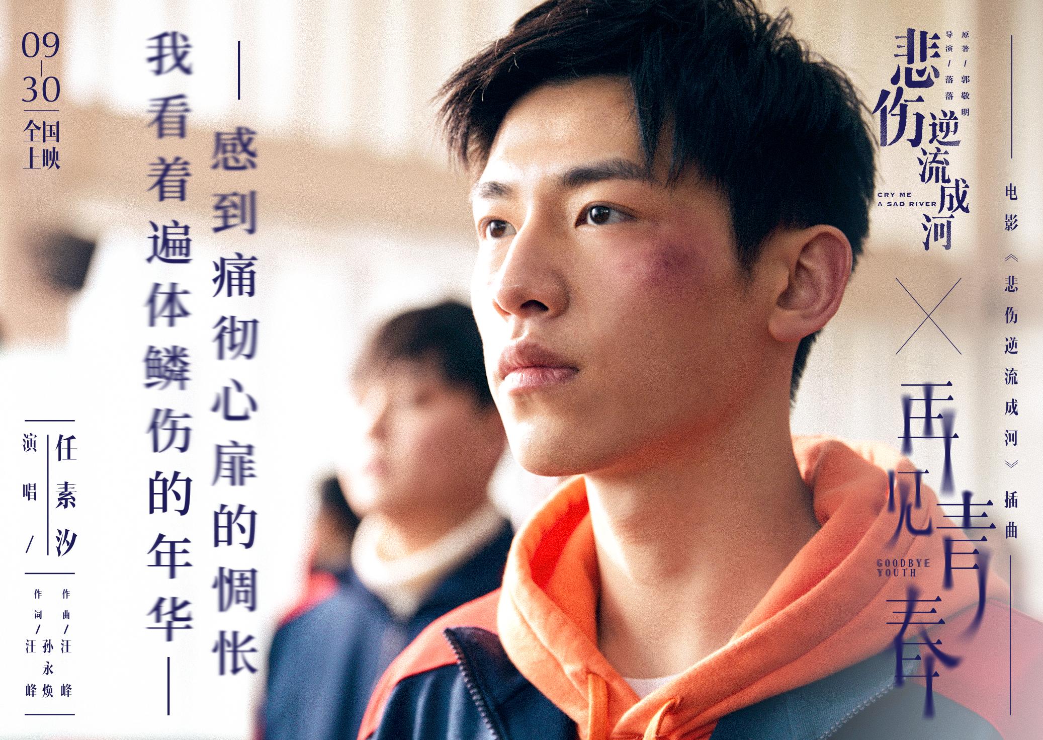 再见青春再见美丽的疼痛是什么歌（再见青春歌词含义）