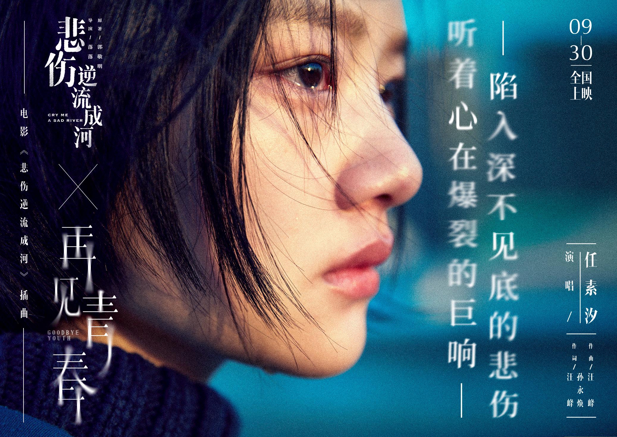 再见青春再见美丽的疼痛是什么歌（再见青春歌词含义）