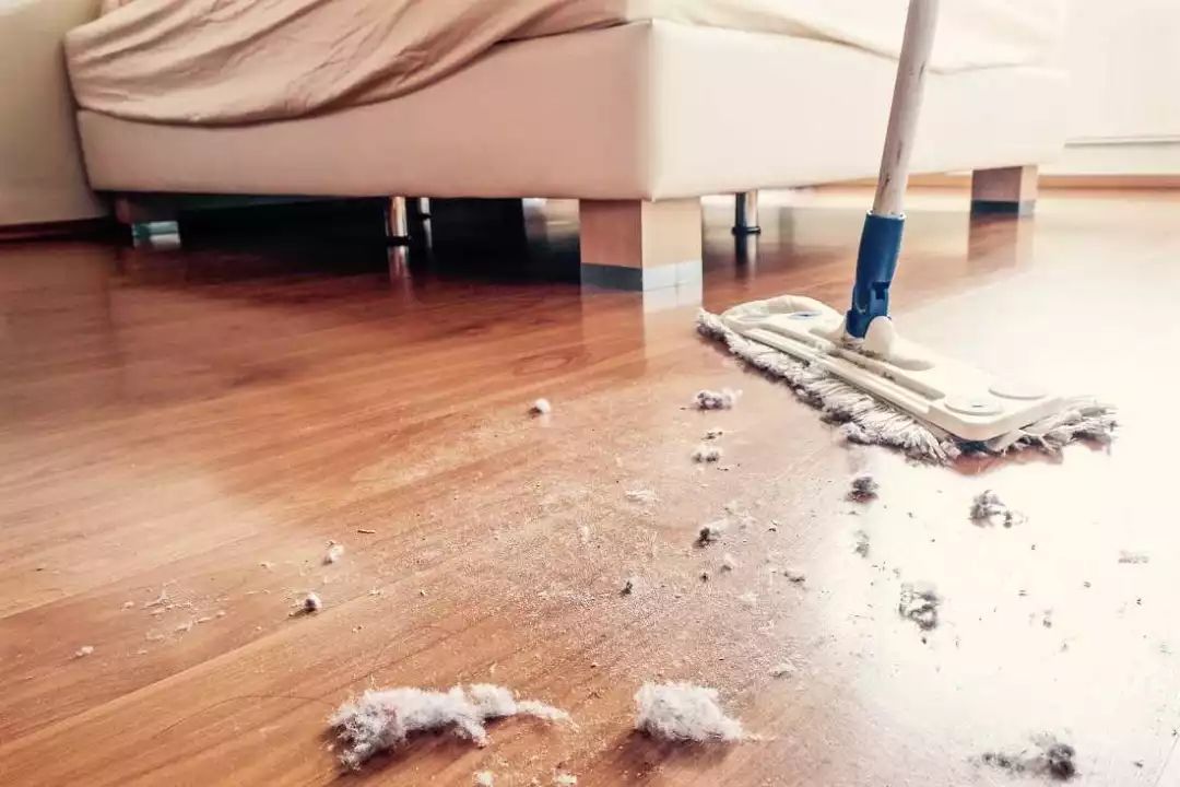家里灰尘多是什么原因（家里灰尘多的原因）