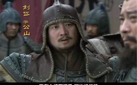 上将潘凤是什么梗（上将潘凤是什么意思）
