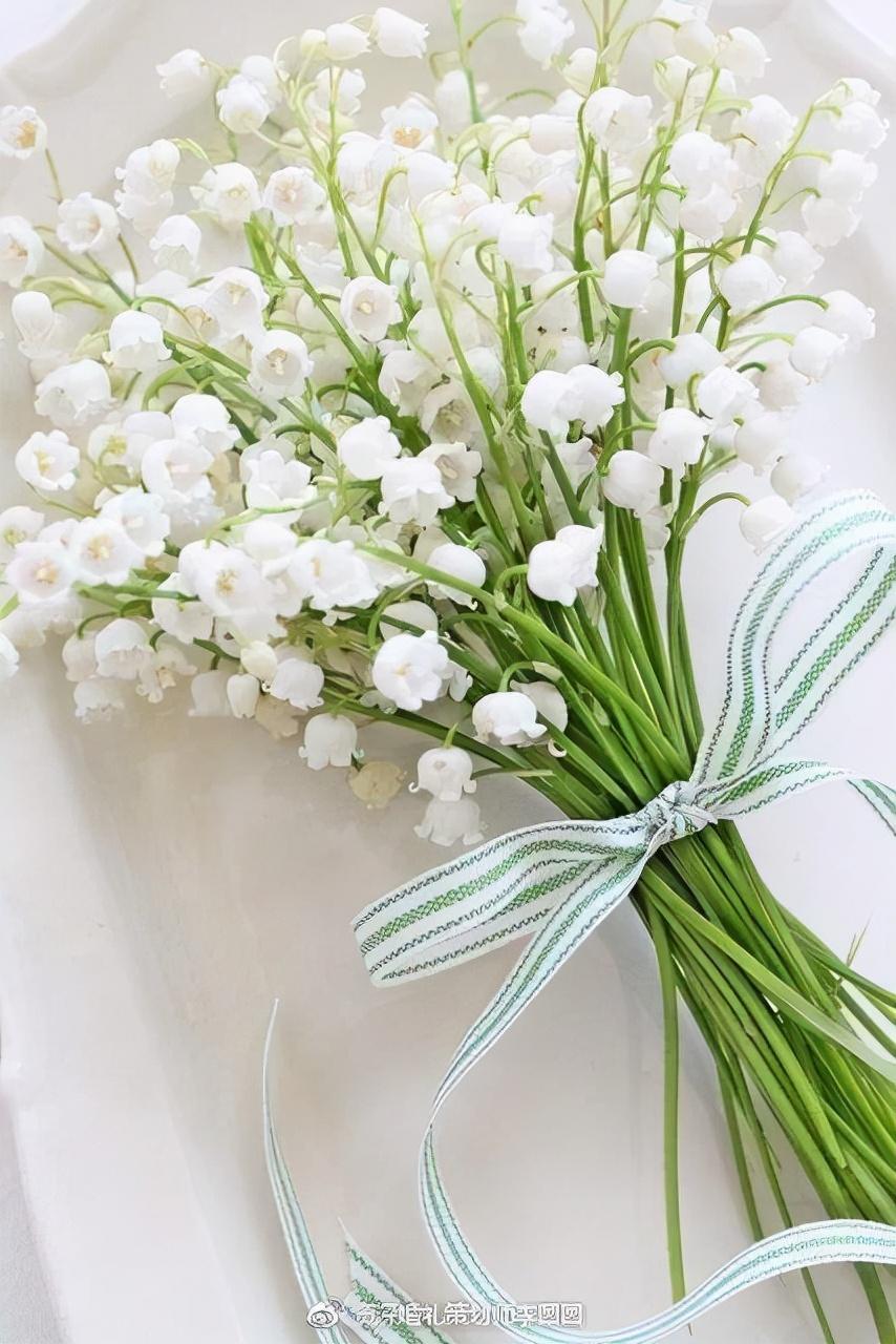 铃兰花语是什么？铃兰花的传说
