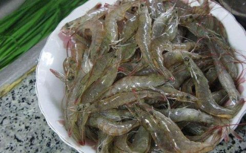 河虾是凉性还是热性（小河虾的营养价值及功效与作用）