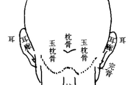 反骨是什么意思（反骨是什么网络用语）