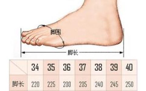 脚25厘米穿多大的鞋子