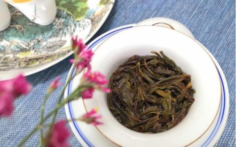 凤凰单枞属于什么茶?