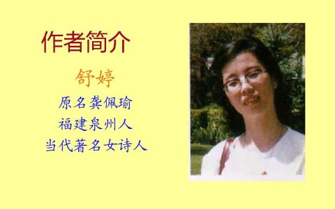 舒婷的简介（舒婷是什么诗派的代表人物）