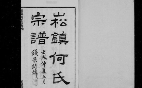 崧怎么读（崧泽是什么意思）