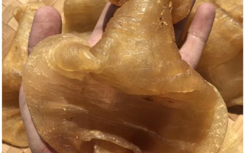 鱼胶的吃法（怎样炖鱼胶好吃又简单）