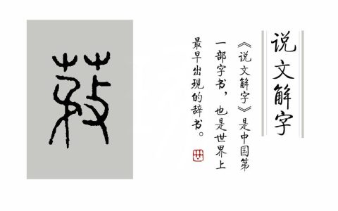 芼怎么读(左右芼之什么意思)