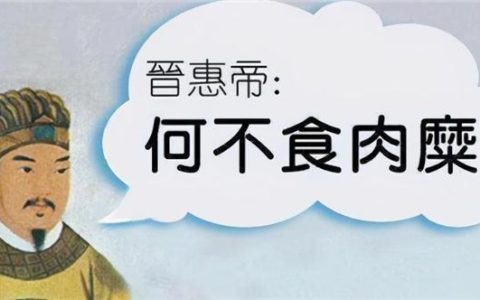 何不食肉糜是谁说的（何不食肉糜是什么意思）