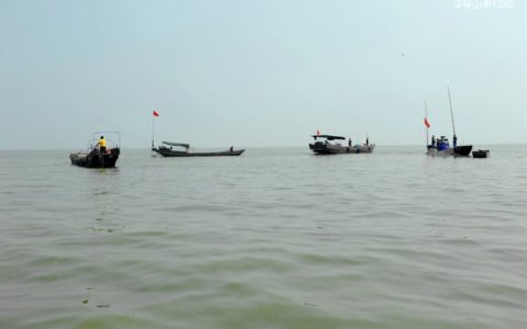 禁海捕鱼期是什么时候(2022年北海休渔期)