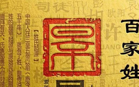 木心什么字（木心两个字加一起念什么）